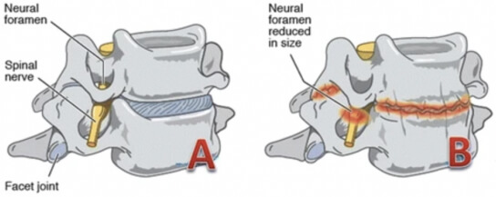 Service Image brain and spine specialists